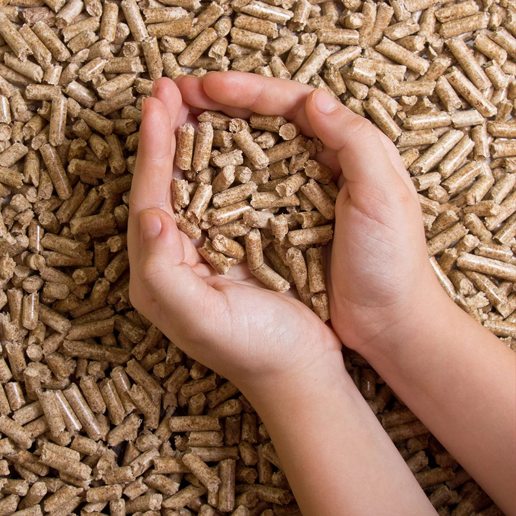 biofuels-wood-pellets-hand