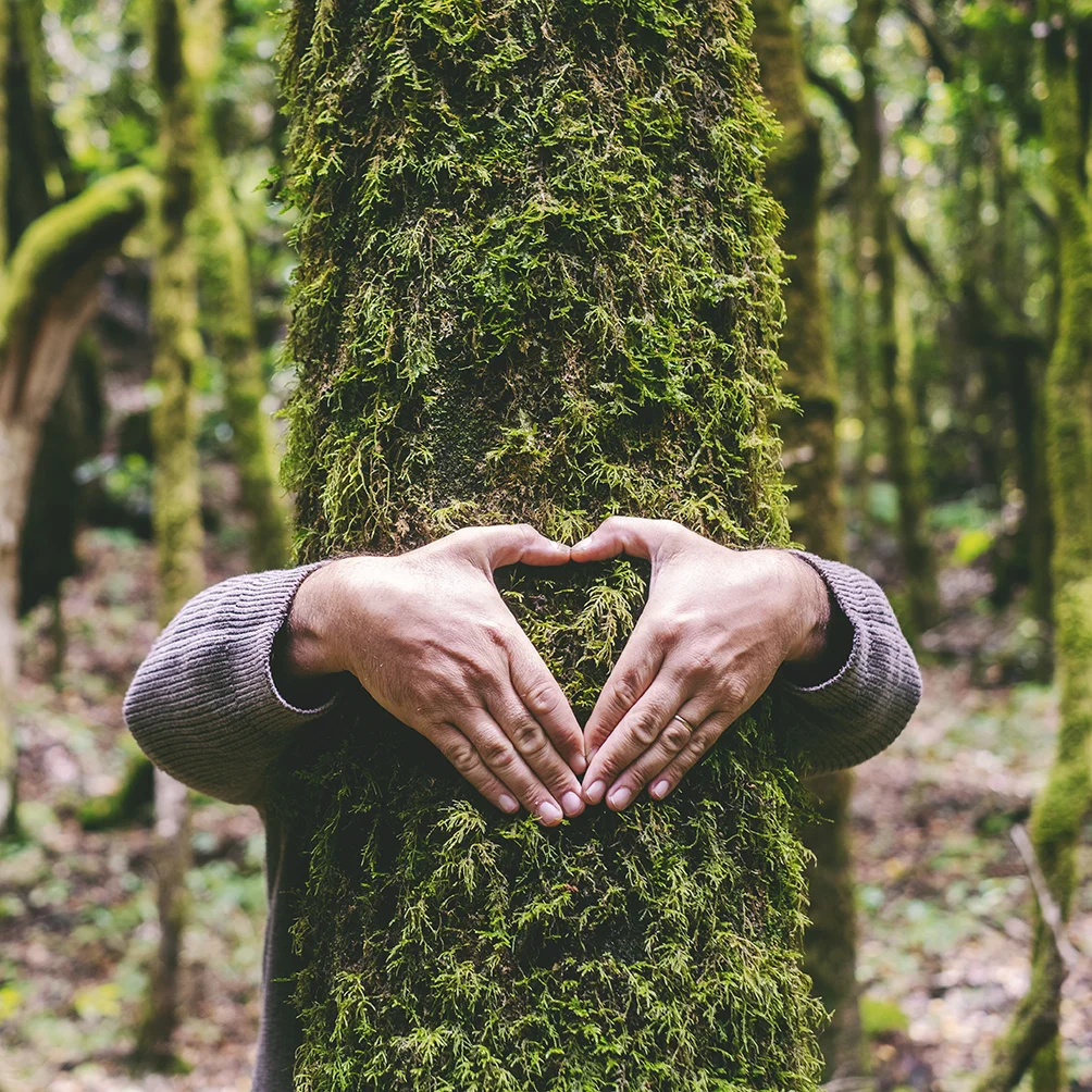 human-man-hands-embracing-green-tree-trunk-forest-doing-earth-sign-symbol-environment-nature-love-concept-lifestyle-deforestation-outdoor-people-leisure-activity-park-travel